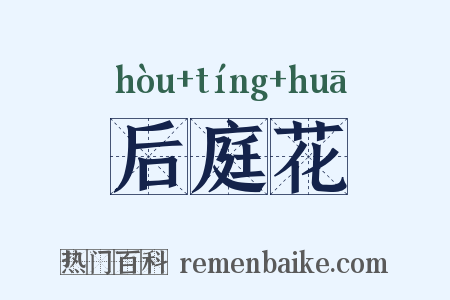 后庭花是什么意思的图片